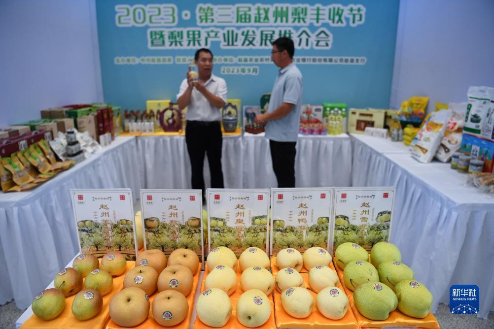 2025最新开户体验金
